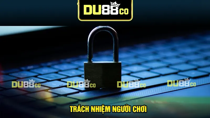 Trách nhiệm của người chơi trong chính sách bảo mật DU88